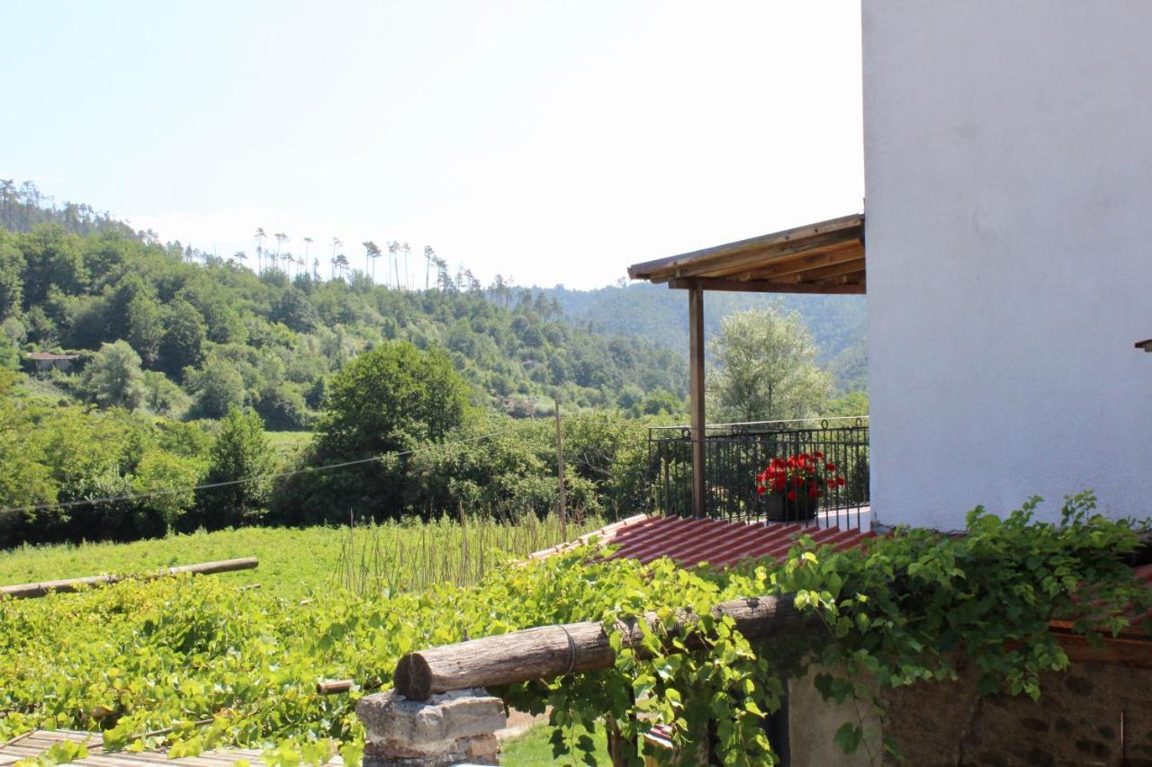Agriturismo La Ferriera Pignone Zewnętrze zdjęcie