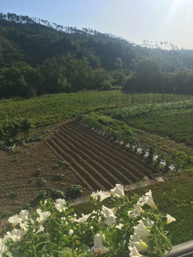 Agriturismo La Ferriera Pignone Zewnętrze zdjęcie